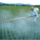 WHO Confirm Glyphosate Cancer Risk